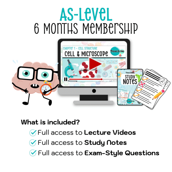 AS-Level 6 Months