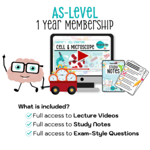 AS-Level 1 Year