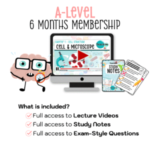 A-Level 6 Months
