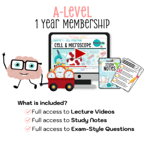 A-Level 1 Year