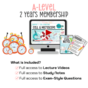 A-Level 2 Years