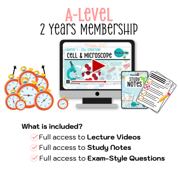 A-Level 2 Years